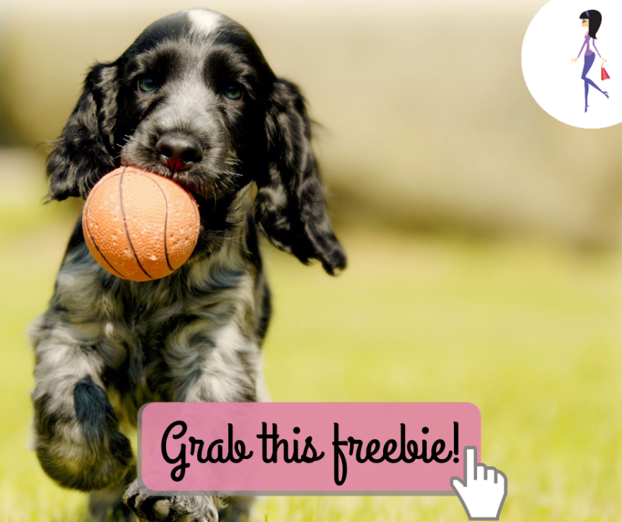 CatchyFreebies Sample 11